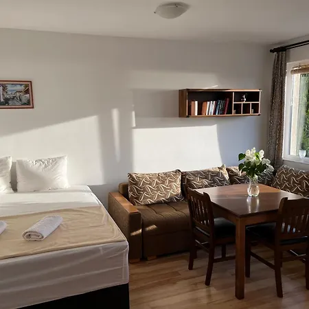 Summer Rose By The Sea