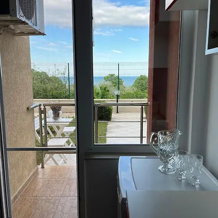 Summer Rose By The Sea