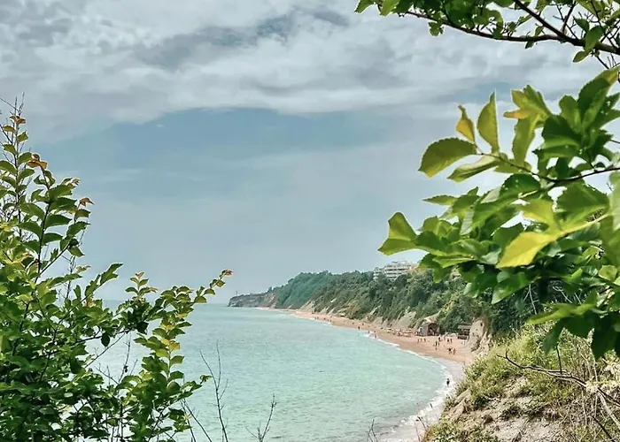 Summer Rose By The Sea Beala