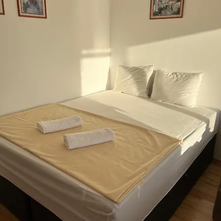 Summer Rose By The Sea Daire