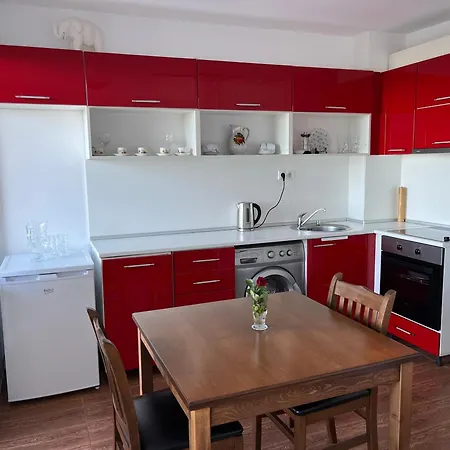 Summer Rose By The Sea Daire