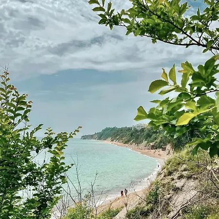 Summer Rose By The Sea Byala (Varna)
