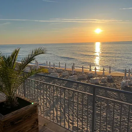 Daire Summer Rose By The Sea