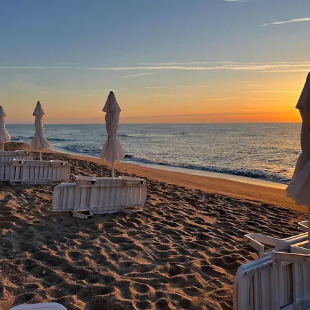 Summer Rose By The Sea Daire Byala (Varna)