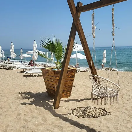 Daire Summer Rose By The Sea